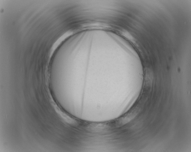 X0000060741474200512081905