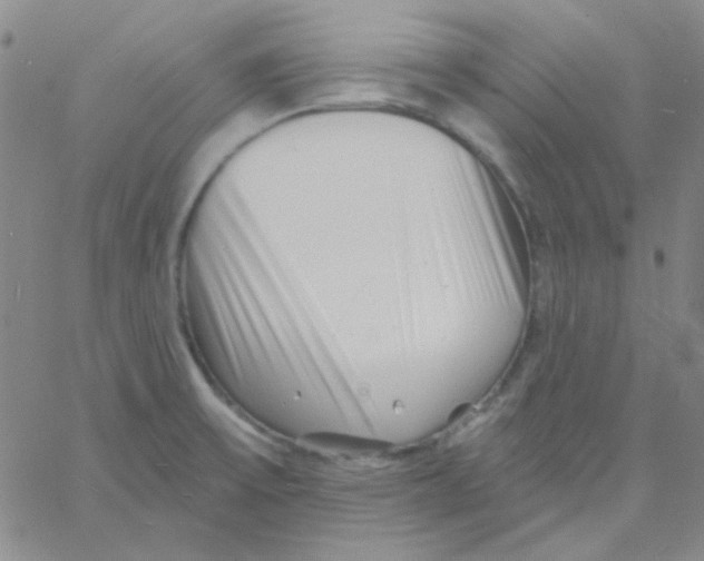 X0000060741475200512081905