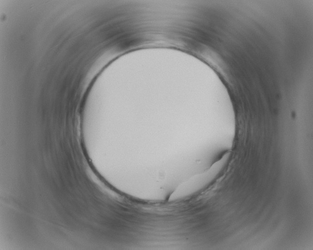 X0000060741476200512081905