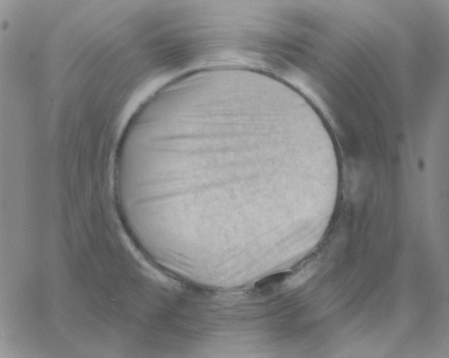 X0000060741477200512081905