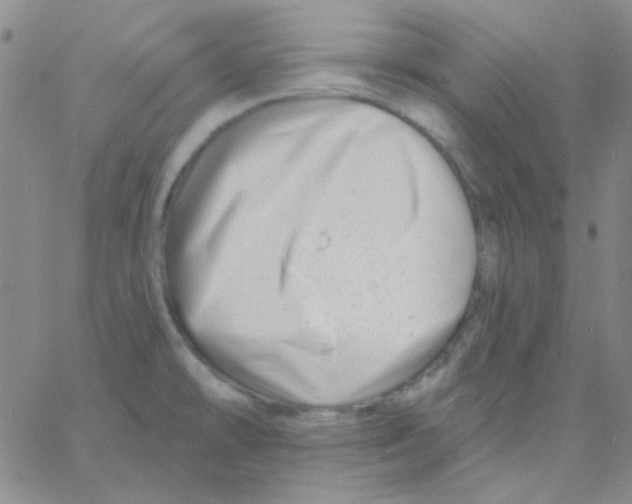 X0000060741478200512081905