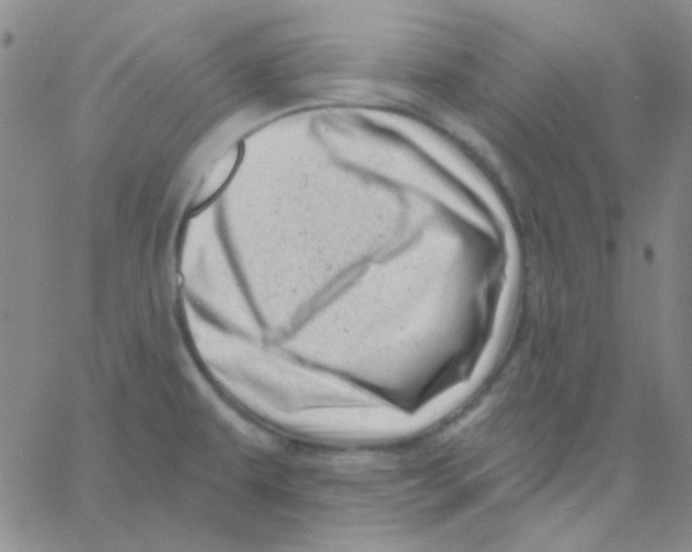 X0000060741479200512081905