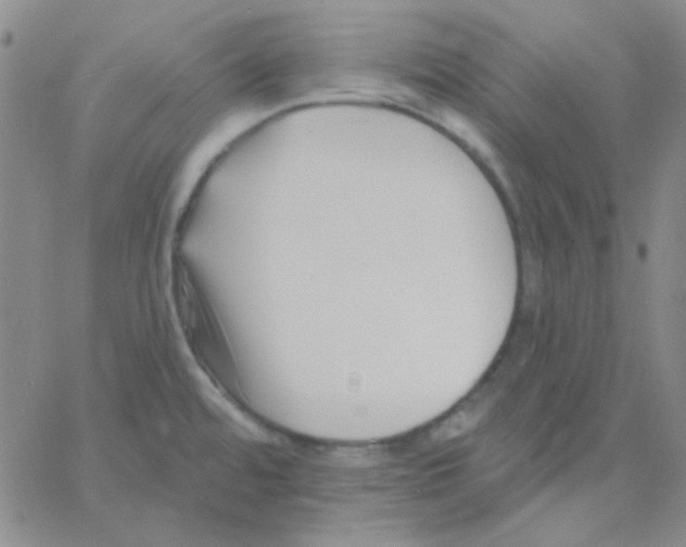 X0000060741480200512081905