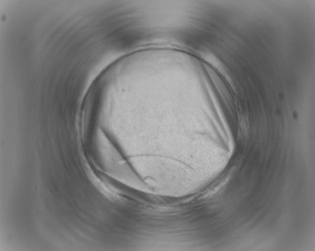 X0000060741482200512081905