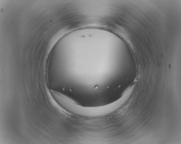 X0000060741483200512081905