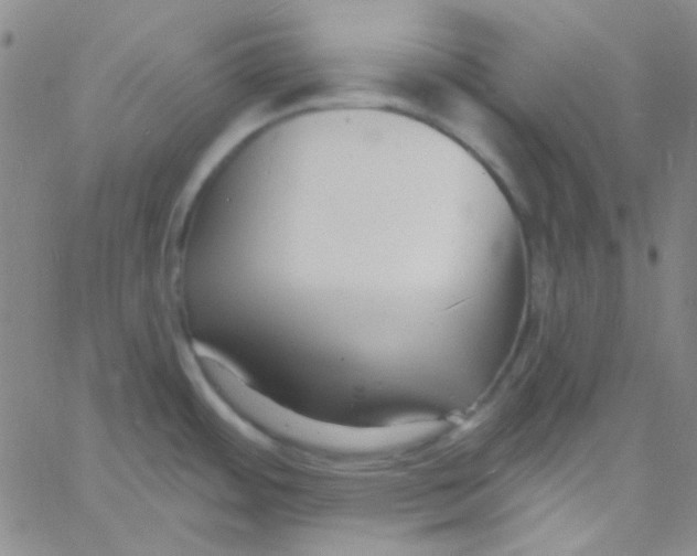 X0000060741484200512081905