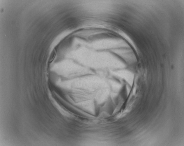 X0000060741485200512081905