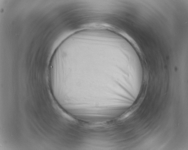 X0000060741486200512081905