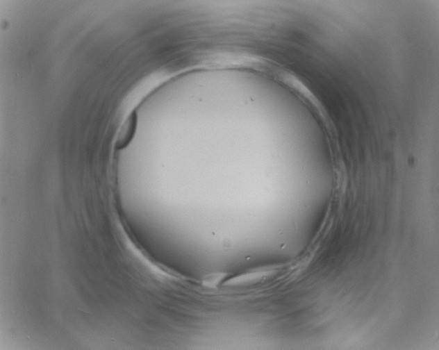 X0000060741487200512081905