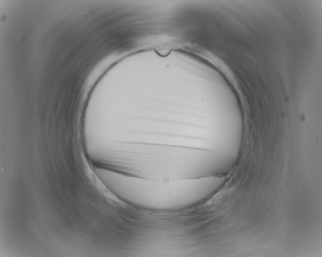 X0000060741488200512081905