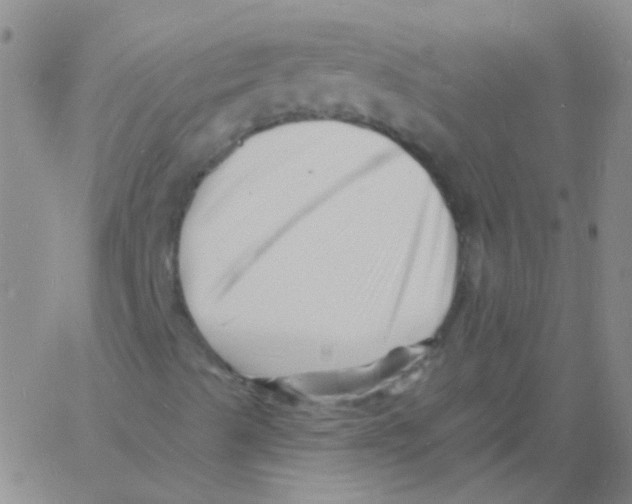 X0000060741489200512081904