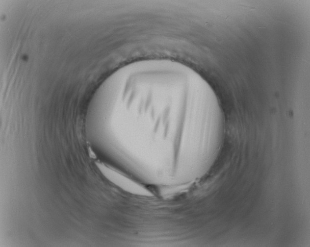 X0000060741490200512081904