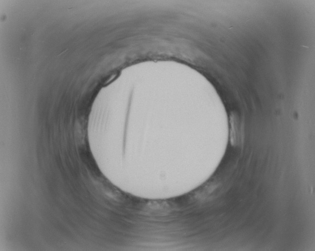 X0000060741491200512081904