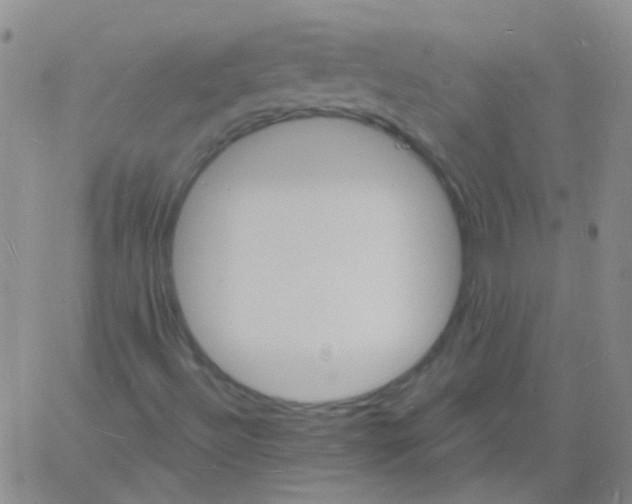 X0000060741492200512081904