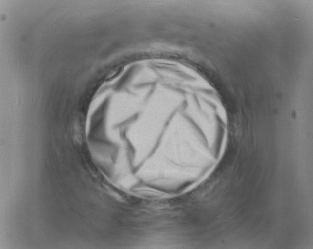 X0000060741493200512081904