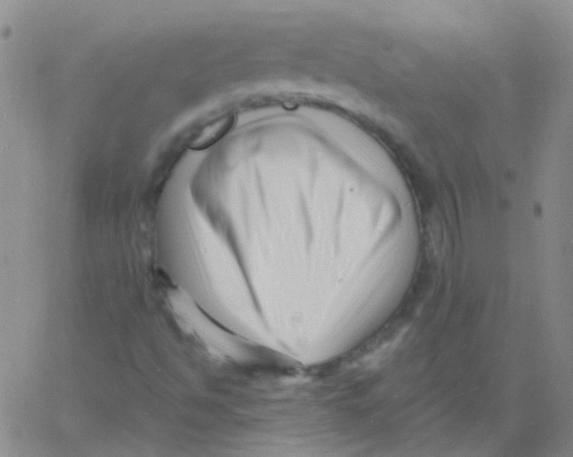 X0000060741494200512081904