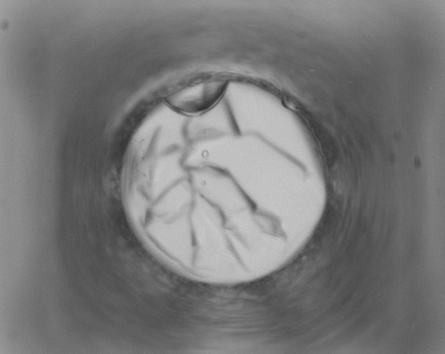 X0000060741495200512081904