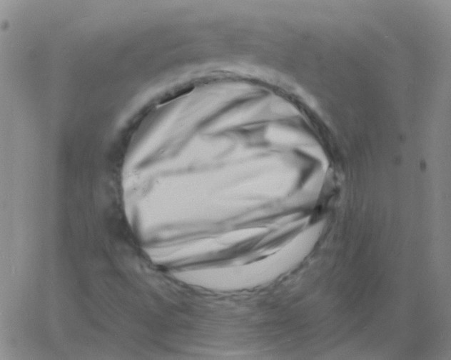 X0000060741496200512081904