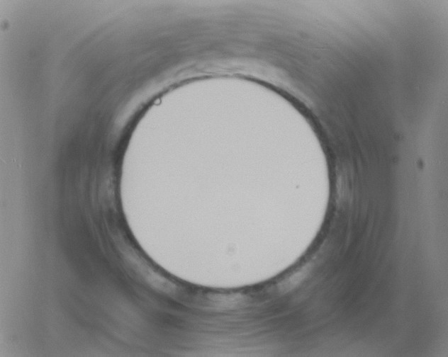 X0000060741498200512081904