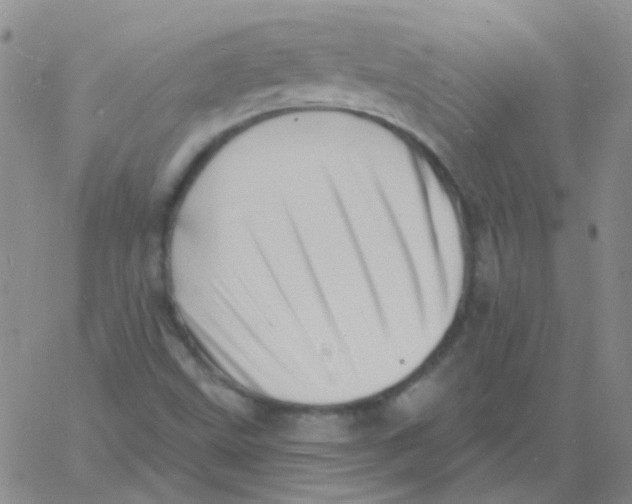 X0000060741499200512081904