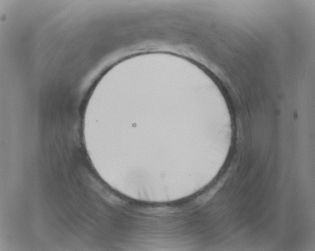 X0000060741502200512081904