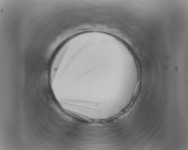 X0000060741503200512081904