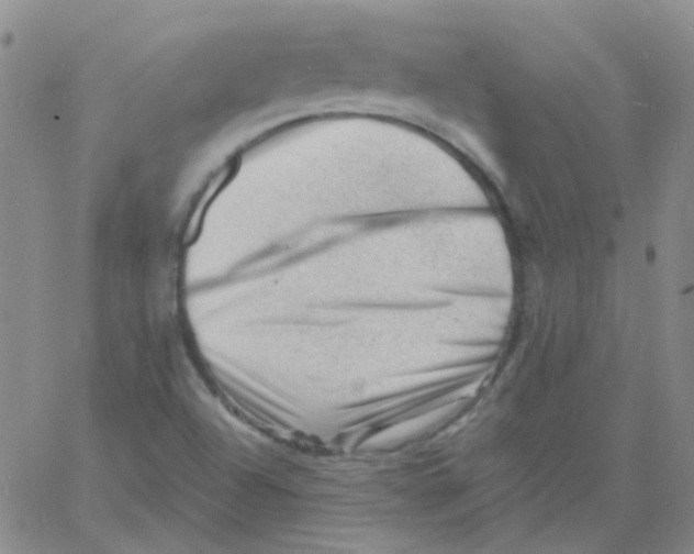 X0000060741504200512081904