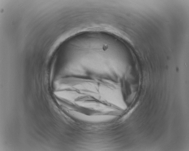 X0000060741506200512081904