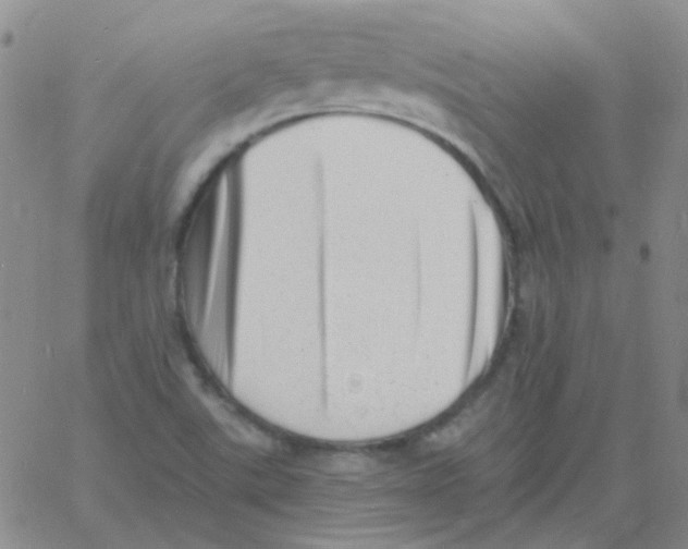 X0000060741507200512081904