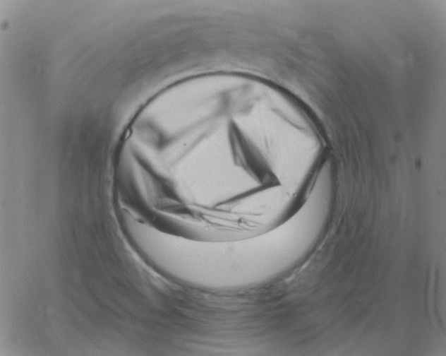 X0000060741508200512081904