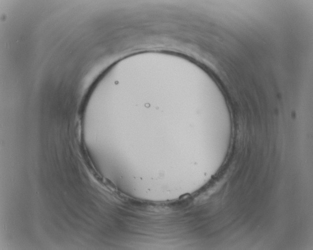 X0000060741509200512081904