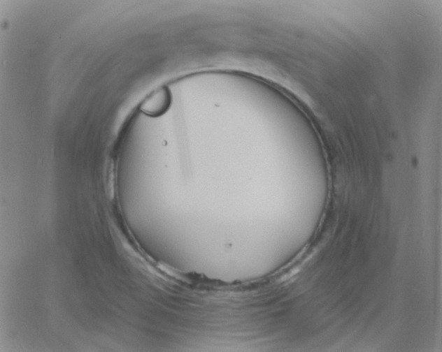 X0000060741510200512081904