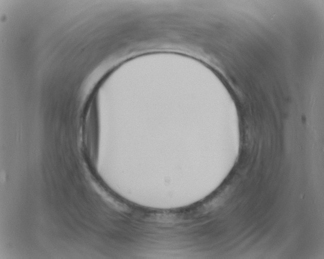 X0000060741511200512081904