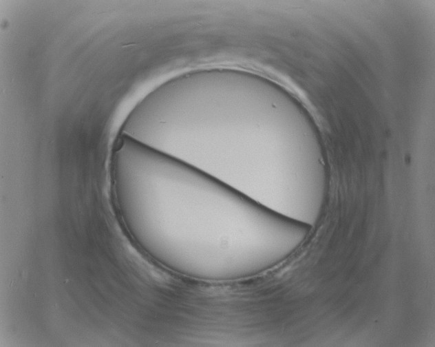 X0000060741512200512081904