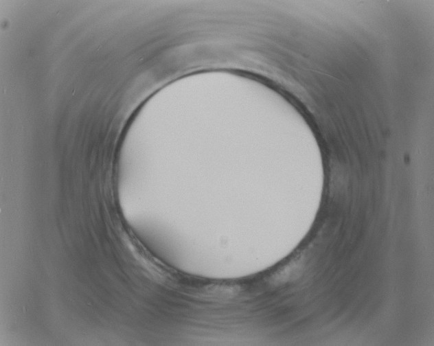 X0000060741513200512081904