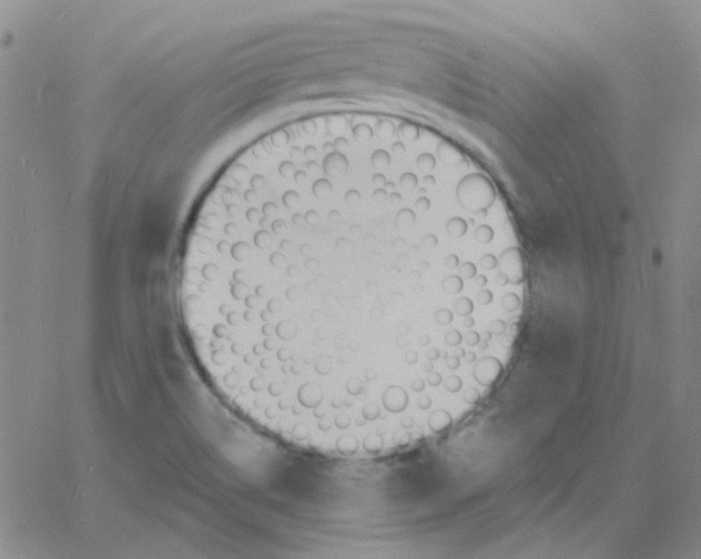 X0000060741514200512081905