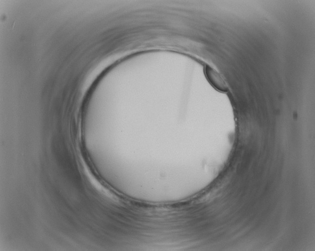 X0000060741515200512081905