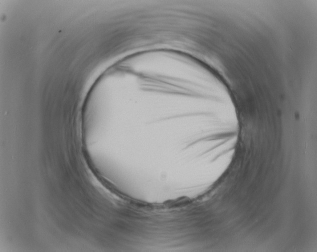 X0000060741516200512081905