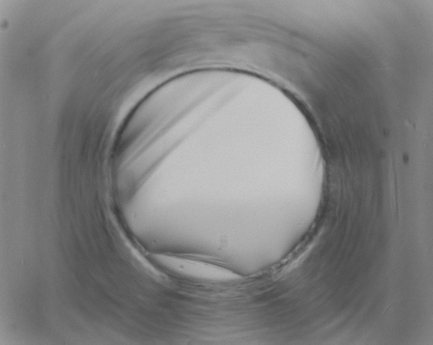 X0000060741517200512081905