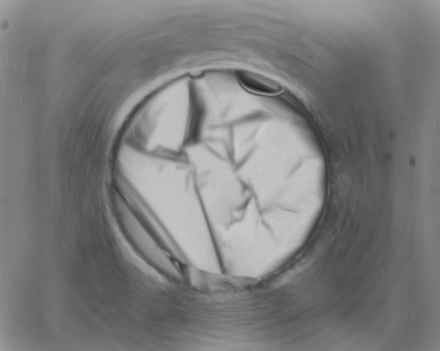 X0000060741518200512081905