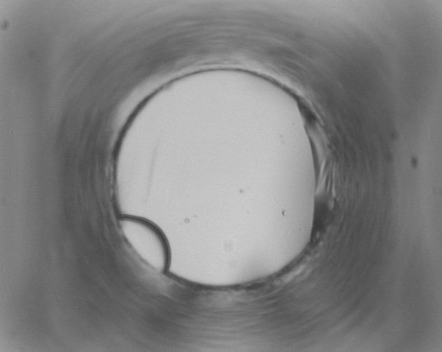 X0000060741519200512081905