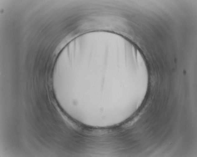 X0000060741521200512081905