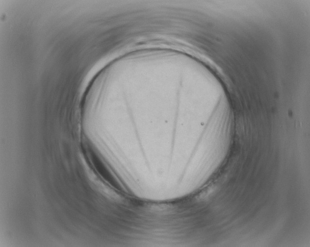 X0000060741522200512081905