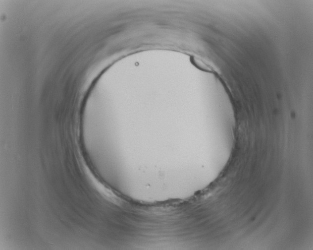 X0000060741523200512081905