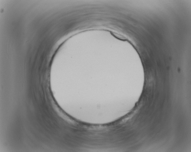 X0000060741526200512081905