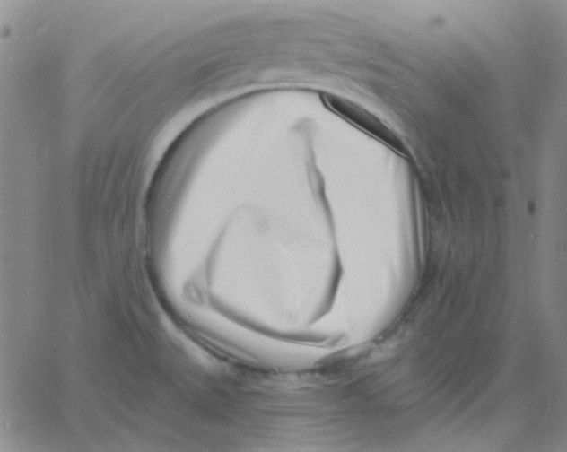 X0000060741527200512081905