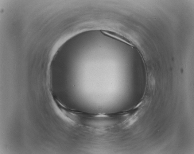 X0000060741528200512081905