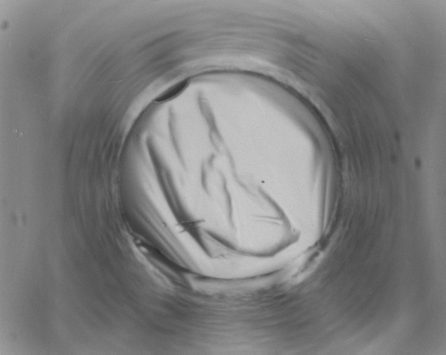 X0000060741529200512081905