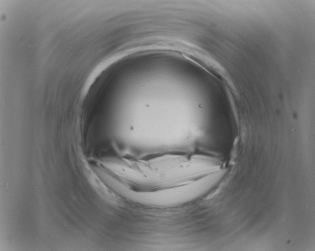 X0000060741530200512081905