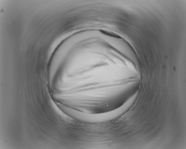 X0000060741531200512081905